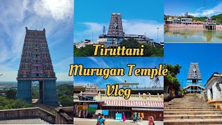 திருத்தணி முருகன் கோவில் | Tiruttani Murugan Temple Vlog | Arupadai Veedu | பங்குனி உத்திரம்
