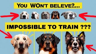 You WON'T Believe These Impossible to Train Dog Breeds! SHOCKING  TOP 15 DOG BREEDS