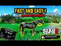 The ONLY All-Black Horse in RDR2 (And It's FREE!)