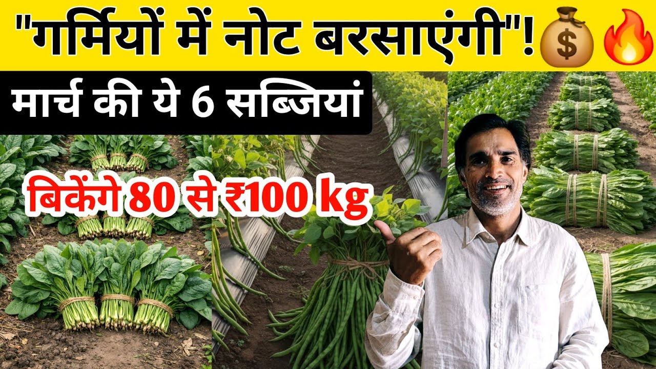 गर्मी में नोट बरसाएंगी मार्च की ये 6 सब्जियां | March me konsi sabjiyan Lagaye |