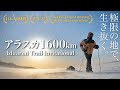 世界最難関レースの-40℃ アラスカ1600kmを29日間走破！7年をかけて世界3位の快挙へ！