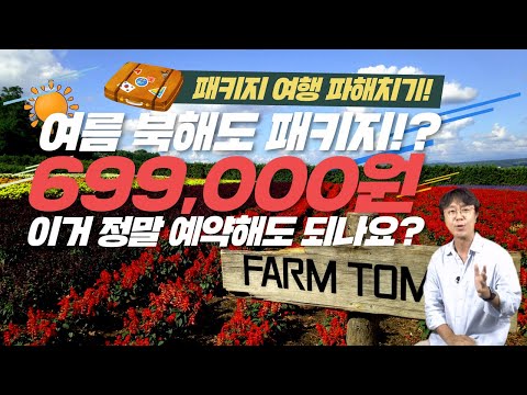 여름 홋카이도北海道 패키지 여행상품 파해치기 699 000원 상품 갈만할까요 