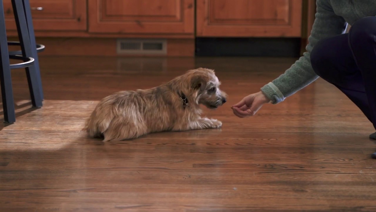 InClover Research: Science with Soul