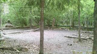 D1115/Национальный парк Орловское полесье/Другие виды животных/Озорная белочка D1115/Национальный парк Орловское полесье/Другие виды животных/Озорная белочка