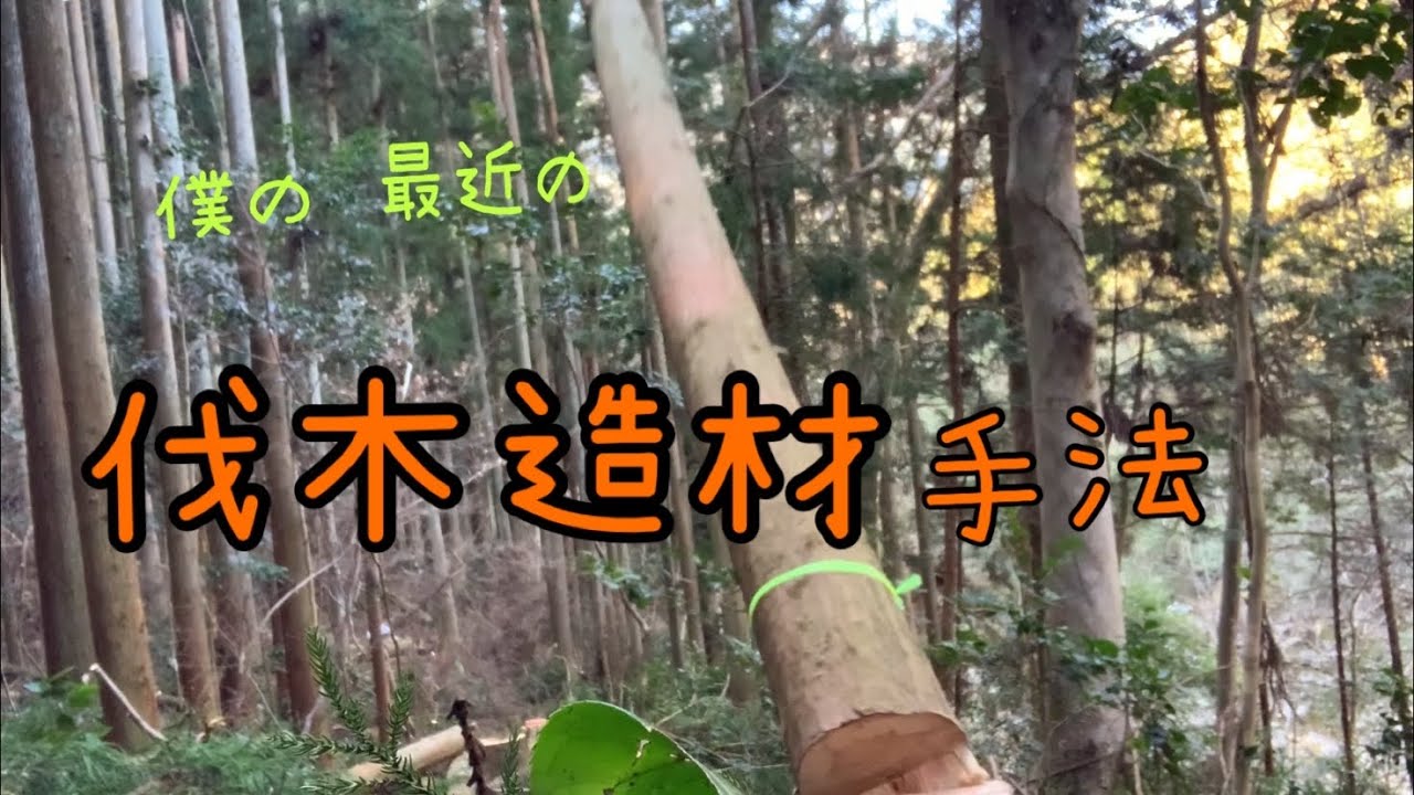 【自伐型林業】ハンドウィンチとクサビでダブル安全策でスギの伐倒‼︎慣れてきた今こそ基本を思い出す‼︎ チェーンソー、伐木造材は一瞬の油断も禁物‼︎