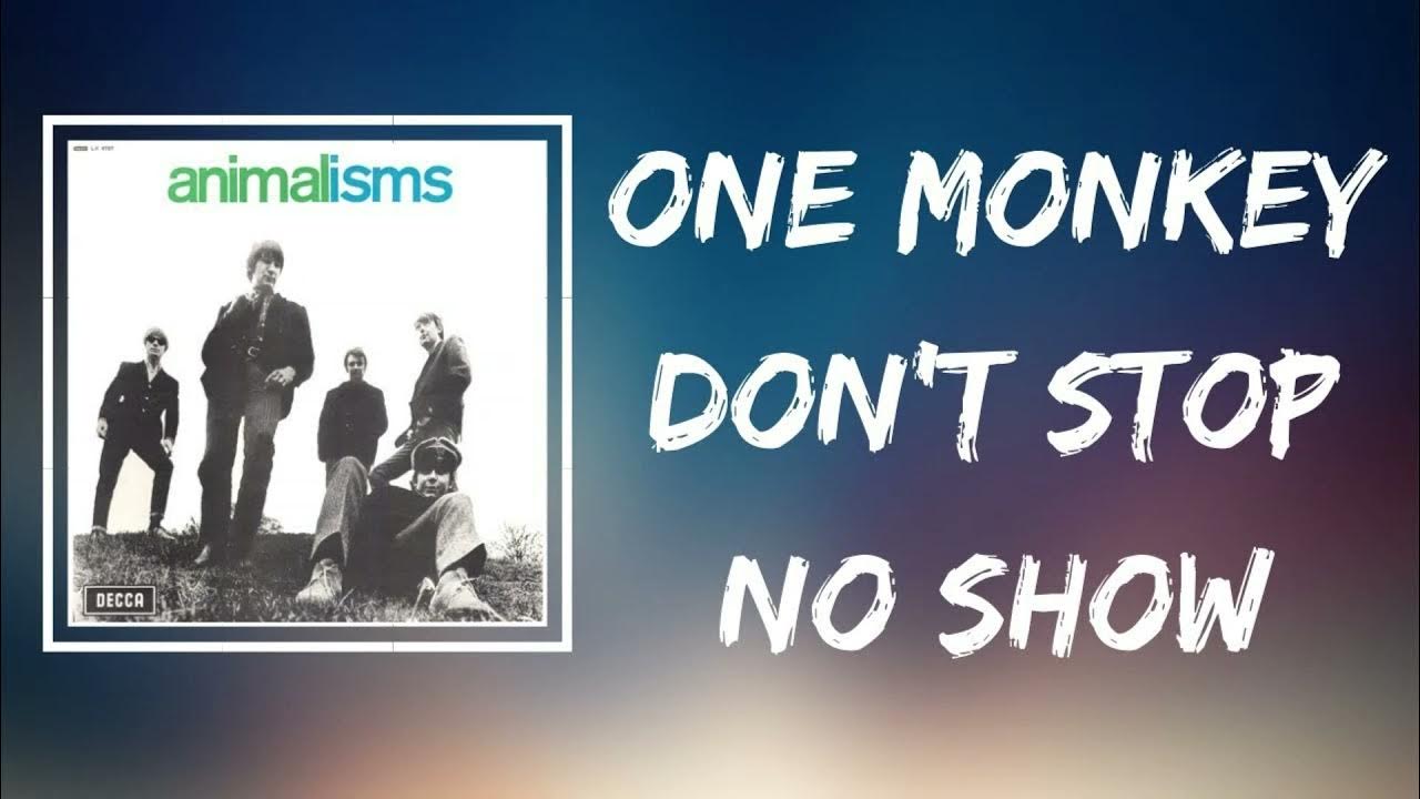 ONE MONKEY DON'T STOP NO SHOW ANIMALS DES ONE MONKEY DON'T STOP NO SHOW ANIMALS DES