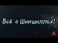 Мой новый питомец! Самец! Окрас Бело-розовый Носитель Ангоры и 50% Фиолета и Сапфира!