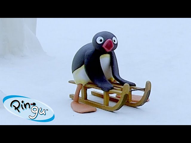 Pingu Official YouTube Videos - Justin Callaghan