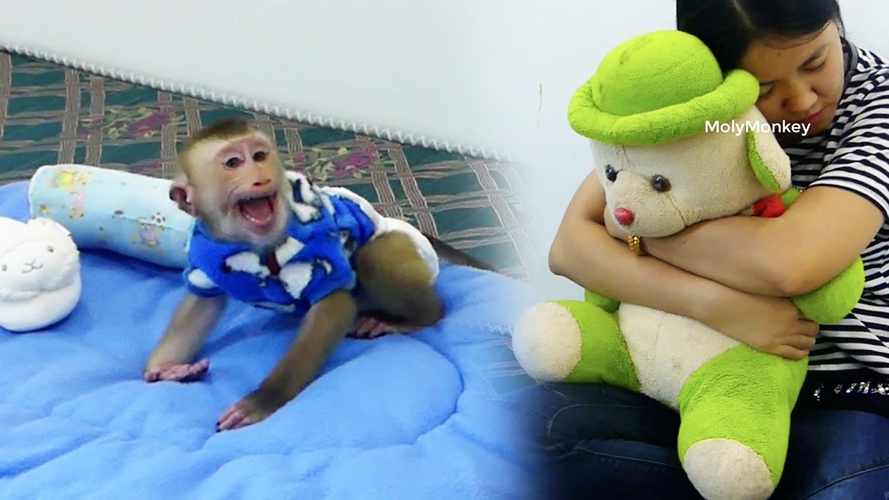 Molly C-ry Jealous With Mom Hug Doll, Molly A-ngry Mom Didnot Care About Him