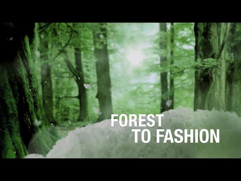 Birla Cellulose - Transformation is a journey - video from Livaeco