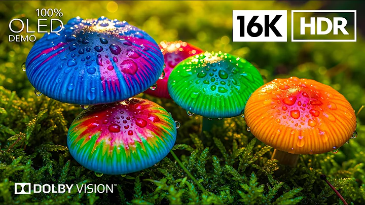 Jaw-Dropping OLED TEST Dolby Vision - 16K HDR Video ULTRA HD 120 FPS