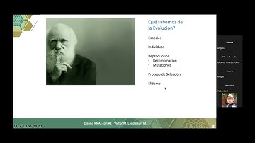 Diseño de Redes Neuronales Artificiales con Algoritmos Evolutivos  para tareas de clasificación