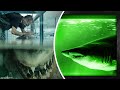 13 Racconti sul Calamaro Gigante: Storie vere su Attacchi di Squali e Avvistamenti di Strani Mostri!