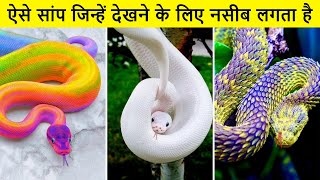 12 दुनिया के सबसे खूबसूरत सांप | Most Beautiful Snakes in the World In Hindi