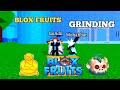 Grinding Levels and Unlocking a New Rare Fruit 🌟 | Epic Blox Fruits Gameplay!