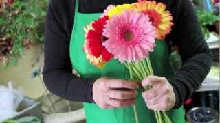 DIY How to make your own wedding bouquet with gerbera daisies