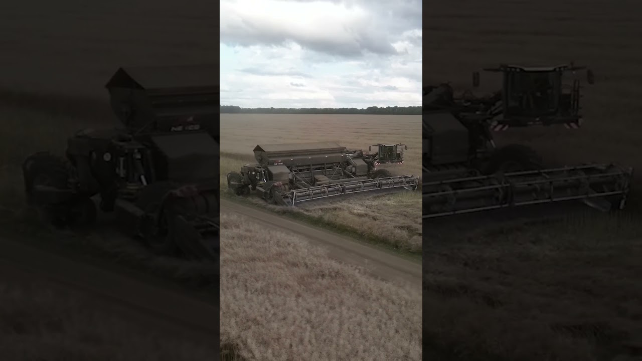 Yellow Fields, Steel Width 