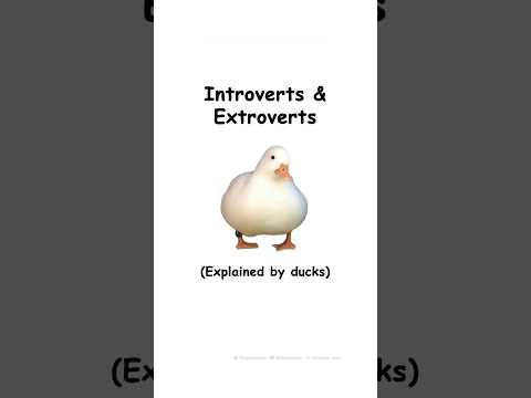 Introverts & Extroverts (explained by ducks)