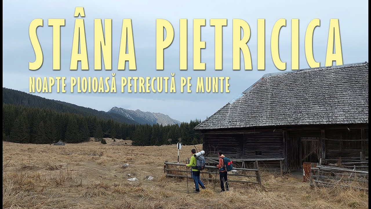 Noapte Dormită la Stâna Pietricica din Piatra Craiului, Izolați în Mijlocul Naturii