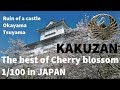 桜百選 the best of cherry blossom 1/100 japan. ruin of castle. 桜まつり 岡山 津山 okayama tsuyama 鶴山公園 花見