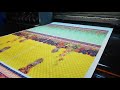 Colorjet Digital Inkjet Printing on Textiles