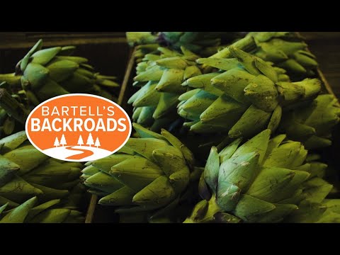A California-coastal town claims it is the artichoke center of the world