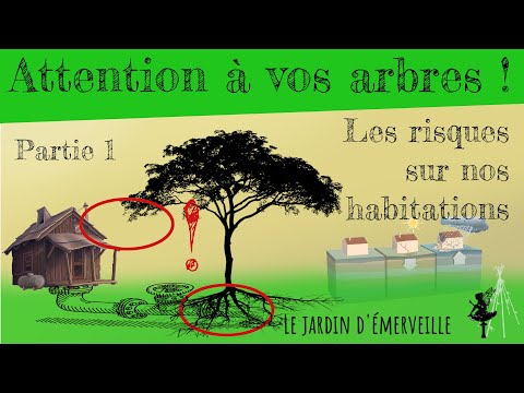 Vidéo: Les vignes trompettes endommageront-elles les arbres ? Conseils pour enlever la vigne trompette sur les arbres