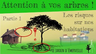 Attention a vos arbres ! Les risques pour nos habitations !