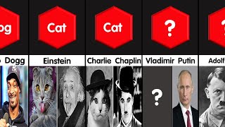 Timeline: Celebrity Doppelganger Animals