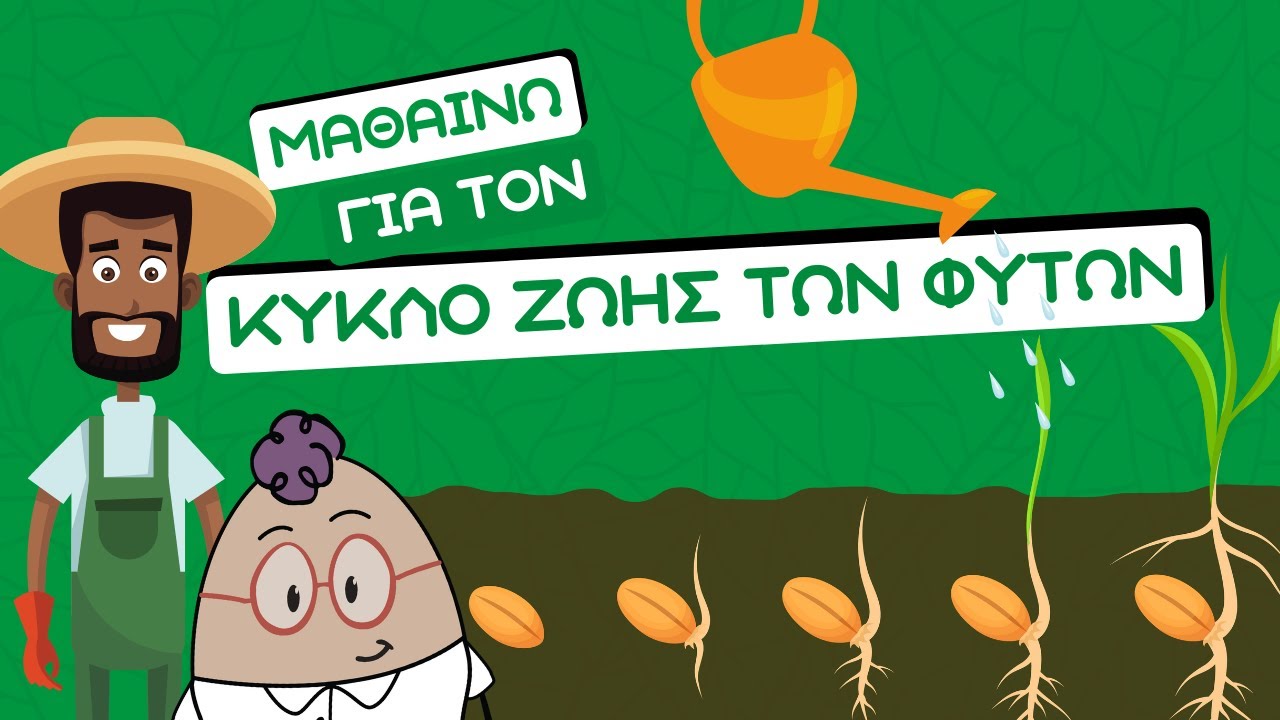Ο κύκλος ζωής των φυτών |  Από τον σπόρο στο φυτό | Φωτοσυνθεση για παιδια