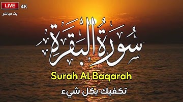 سورة البقرة كاملة 🌹 لزيادة الرزق ولحفظ وتحصين المنزل بصوت جميل وهادئ 💚SURAH ALBAQARA 🌹