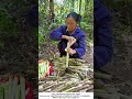 Using a Sickle Handle to Prep Fresh Bamboo Shoots – Field Hack 🎋🔧