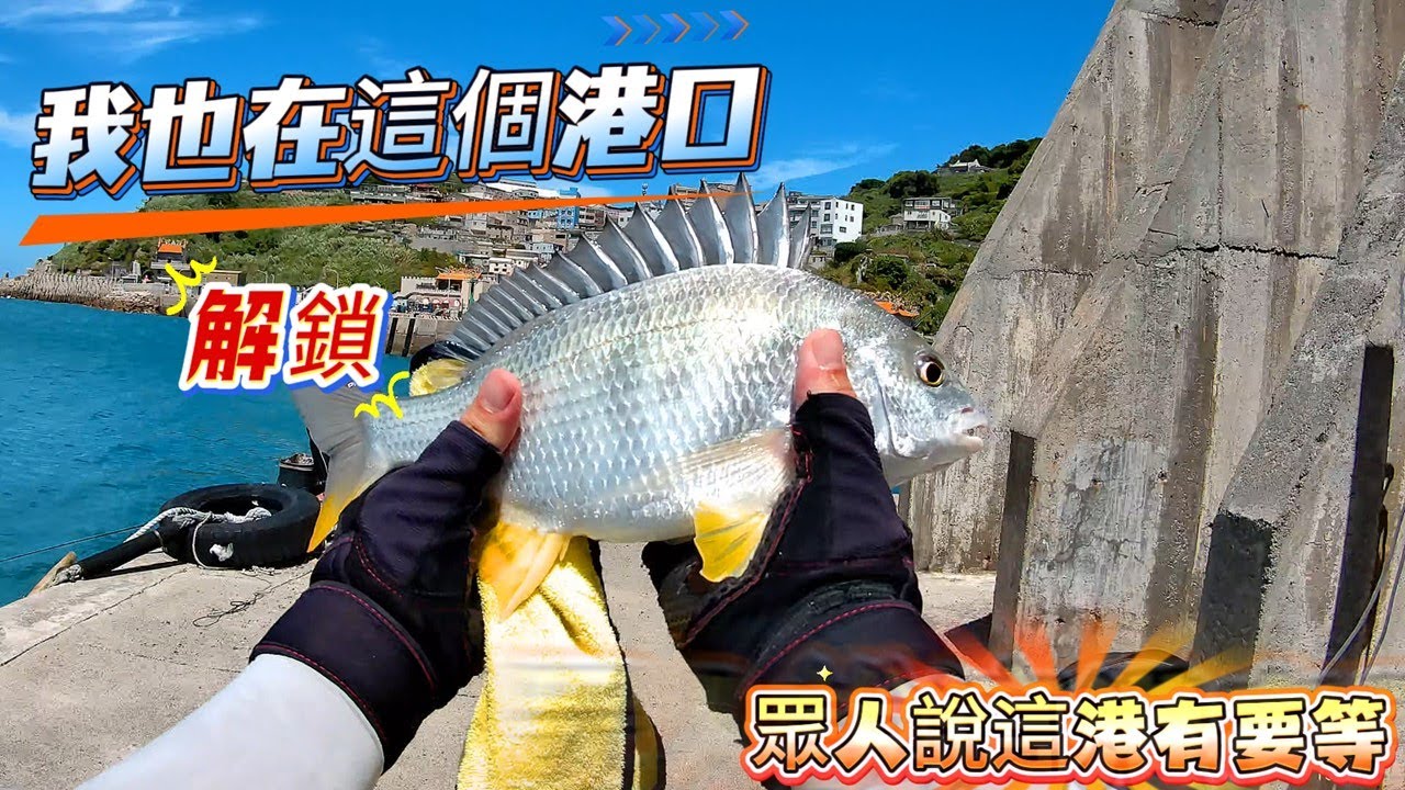 磯釣 垂釣 漁港 港口 紅甘 黃鰭鯛 班頭 烏魚 深度2支竿子 不凍蝦 沒地方跑 這個港聽很久都說有貨  我等到了開心 東引中注港 20250906.08