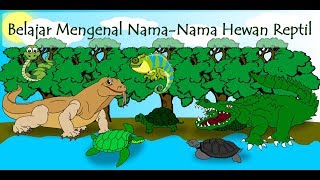 Media Pembelajaran | Belajar Mengenal Nama-Nama Hewan Reptil | Untuk Anak-anak