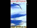 💥 ড্রাগন ঘুড়ি উড়ালাম 💥||