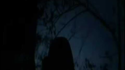 From www metacafe com 183553 1217227 1