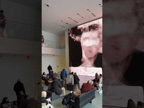 Видео: Посещение MoMA с детьми