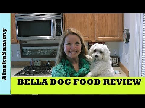 bella-dog-food-trays-wet-adult-dog-food-by-purina