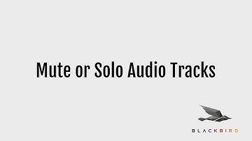 Solo and Mute Audio Tracks in Blackbird