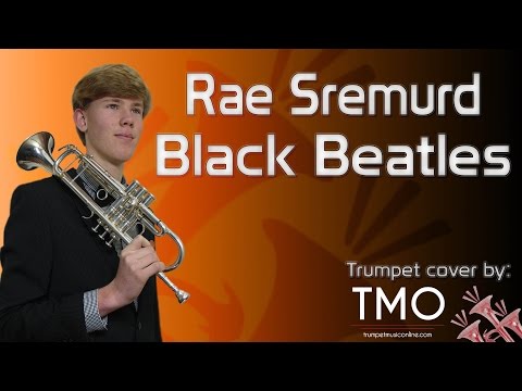 Rae Sremmurd - Black Beatles (TMO Cover)