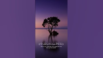 تلاوة خاشعة تريح القلب 🖤#قرآن #اكسبلور #لايك #المصحف #الرحمن #حالات_واتس #ترند