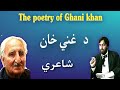 The poetry of ghani khan       pashto research academy 