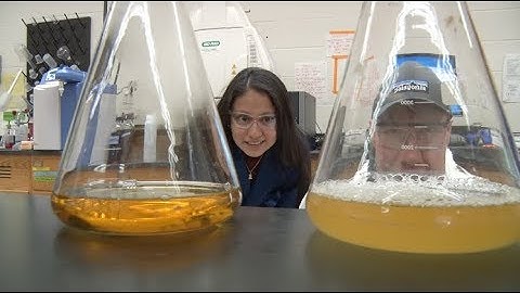 Promoting Diversity in Science at RIT - HHMI Inclusive Excellence Initiative