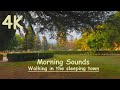 Morning City Sounds - Morning sounds of sleeping town, Walking in the early morning in a small town