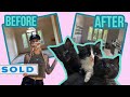 Renovating a Kitten Rescue Dream Home!