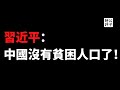 【公子時評】中国宣布贫困人口清零，你信吗？习近平加速主义阶段胜利，接下来要发生的才可怕，城市中产可别高兴太早！