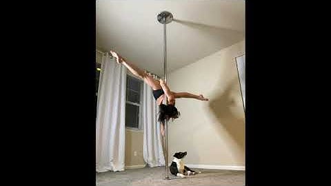 Pegasus From a Leg Hang Pole Combo