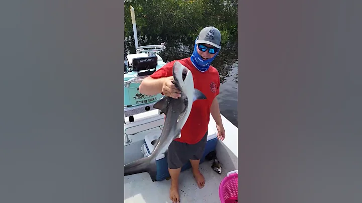 What are the odds of castnetting a bull shark!