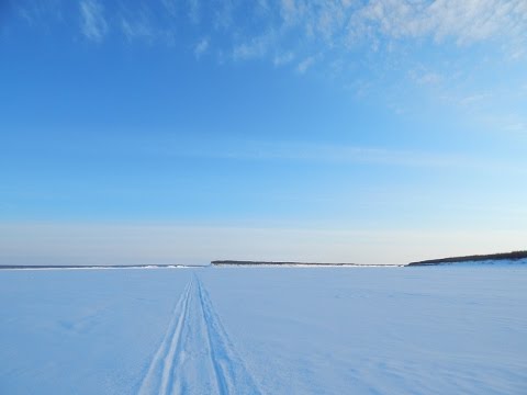 Моменты уходящей зимы..