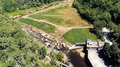 L’effacement du barrage du Gué Giraud sur la Glane - Saint-Junien (87)
